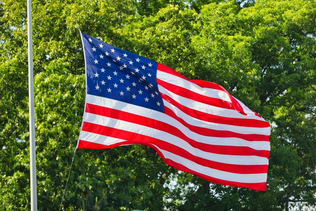Market Shifts and Strategic Moves: How Trump’s Re-election Impacts Tech, Finance, and Energy