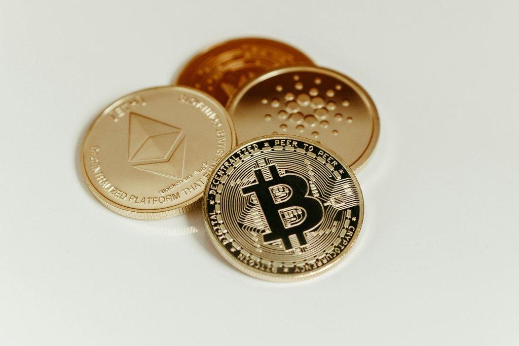 Today's Crypto Update: Surge Signals Amid Market Storms
