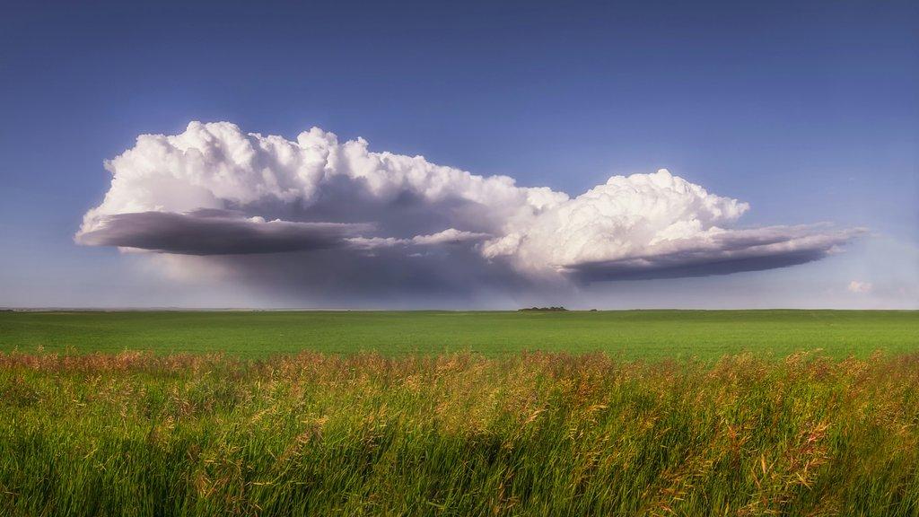 Weekly Market Pulse: Clouds, Chaos & Capital Flows